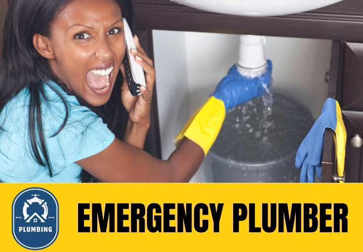 emergency plumber Dartford