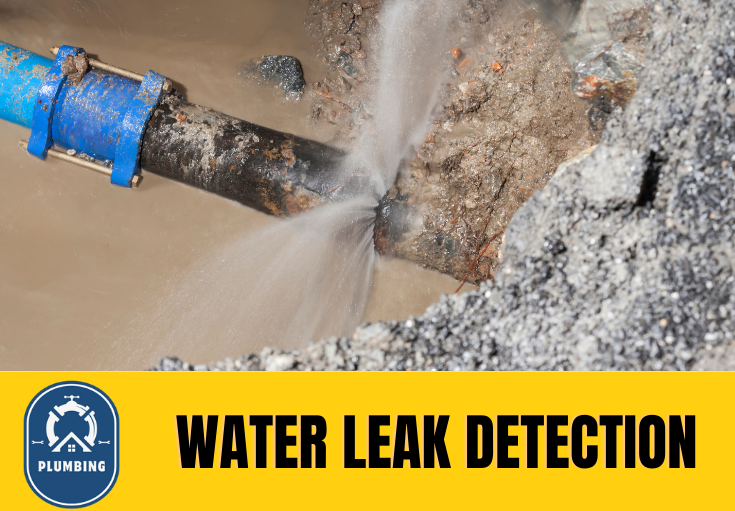 leak detection Dartford